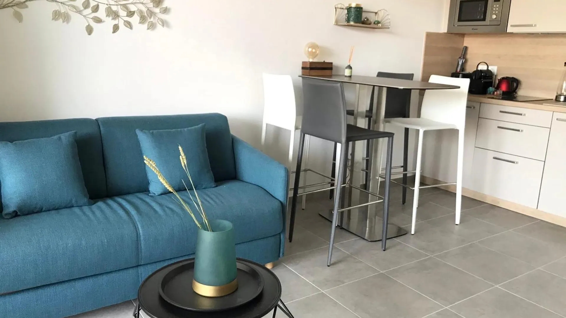 Beautiful Studio In Luxury Residence With Swimming Pool Villeneuve-Loubet France